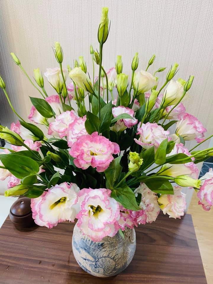 Hoa tươi Cát tường và Tulip giá rẻ TpHCM Hoa tươi Cát tường và Tulip giá rẻ TpHCM