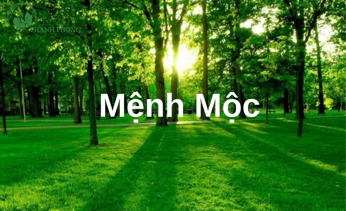 Tính cách người mệnh này có ý chí và nghị lực mạnh mẽ